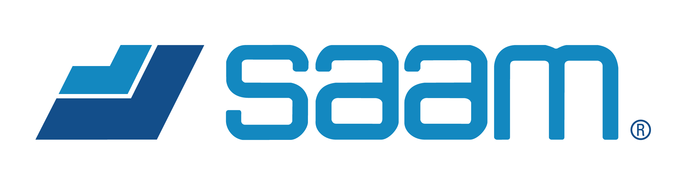 Logo SAAM