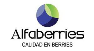 Logo Alfaberries